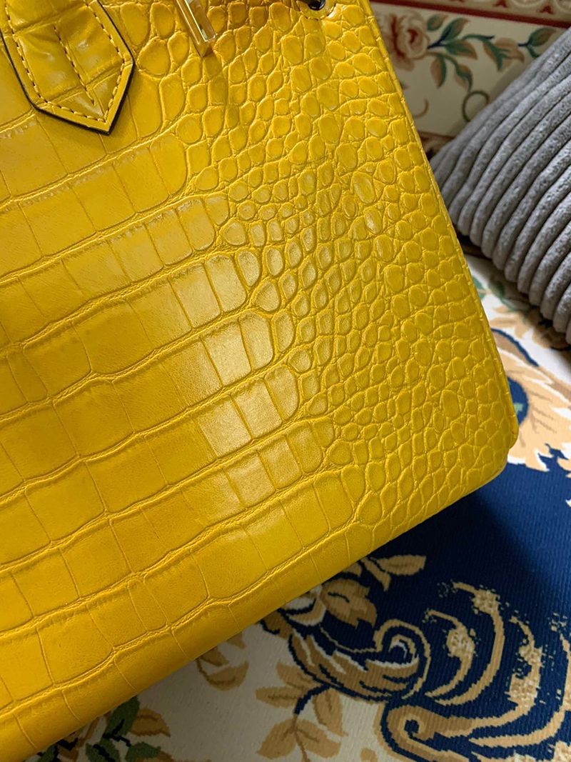 エルメス バーキン30 ポロサス クロコダイル偽物 ニロティカス ero59308