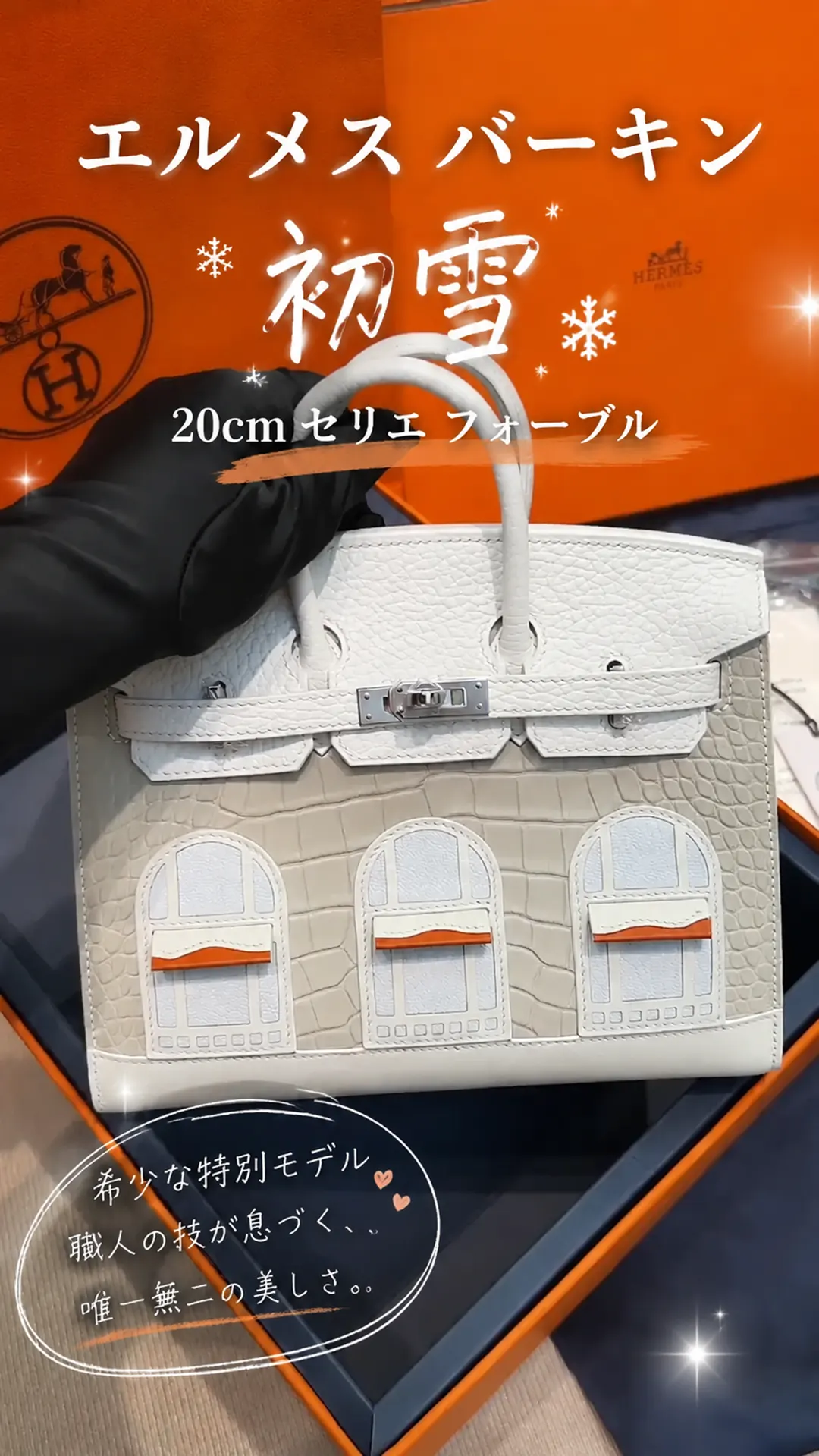 【最高峰N級・職人手作り】エルメス バーキン 初雪 20cm セリエ フォーブル